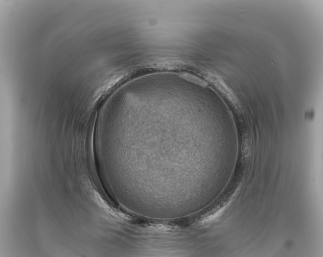 X0000093730585200710231153