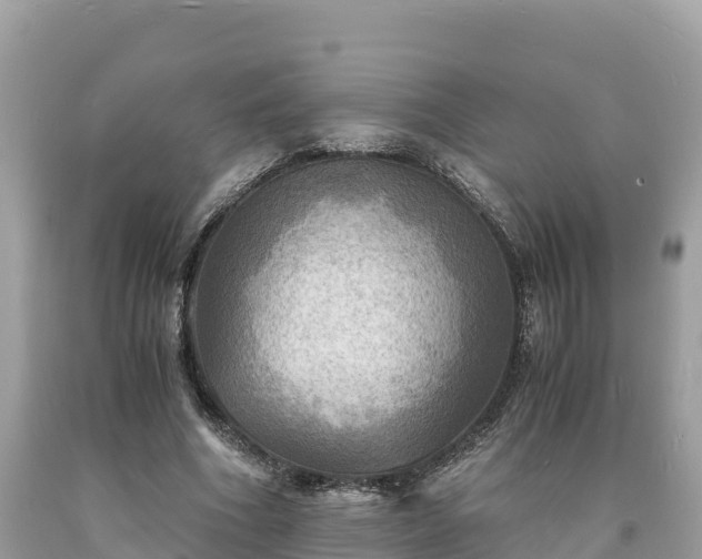 X0000093730586200710231153