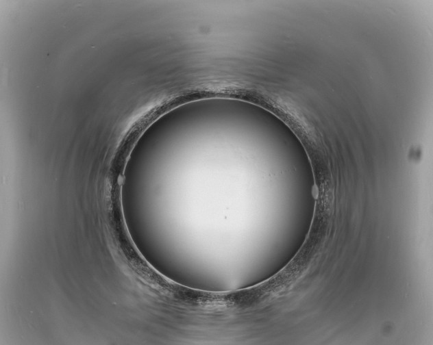 X0000093730587200710231153