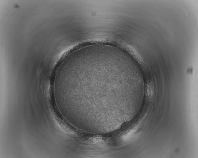 X0000093730588200710231153