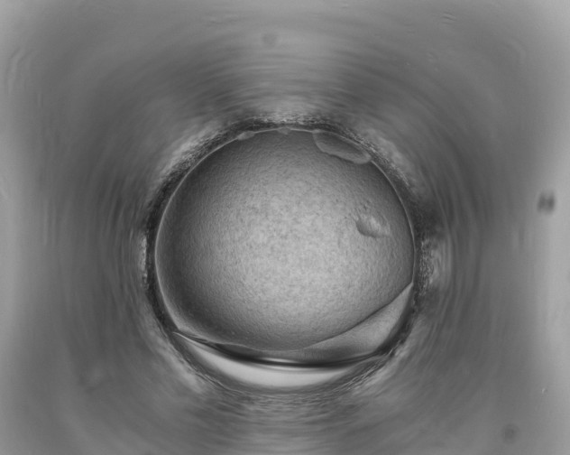 X0000093730589200710231153