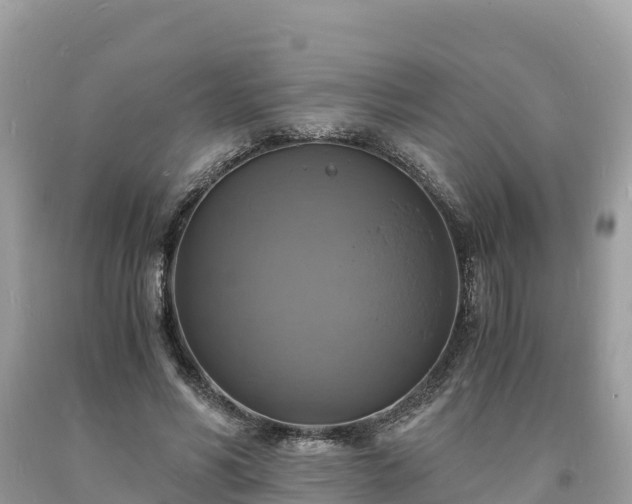 X0000093730590200710231153