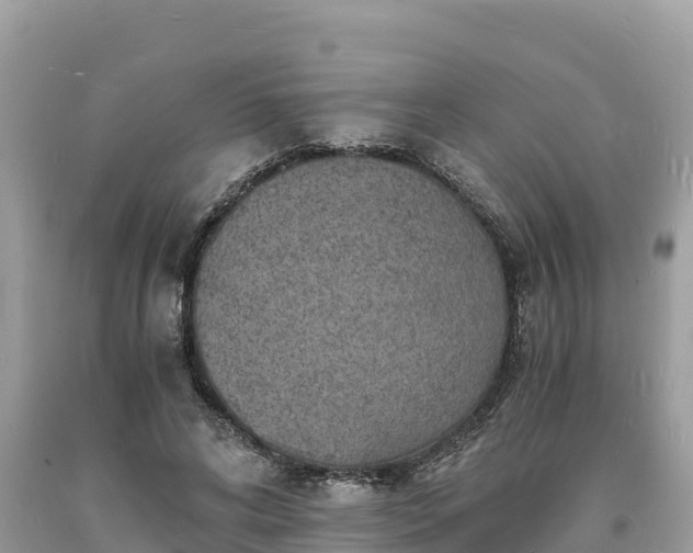 X0000093730592200710231153