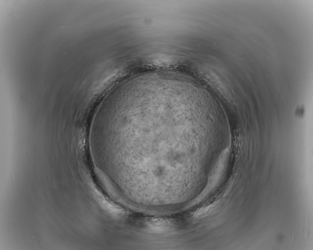 X0000093730593200710231153