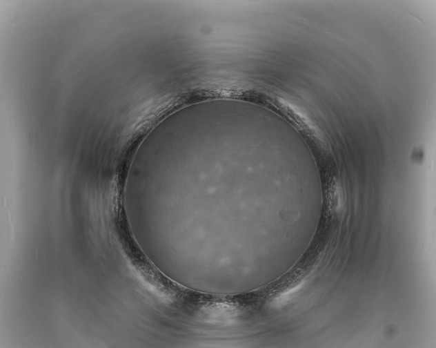 X0000093730594200710231153