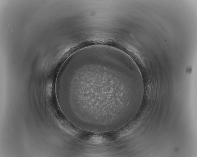 X0000093730596200710231153