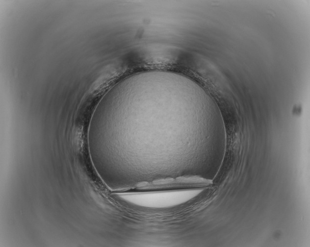 X0000093730599200710231153
