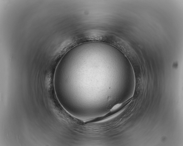 X0000093730600200710231153
