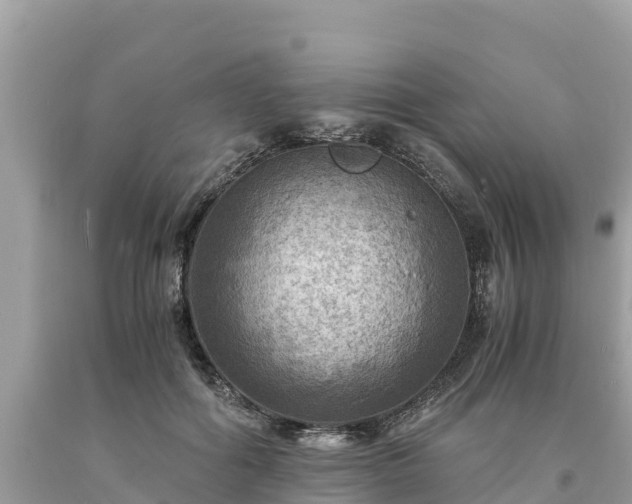 X0000093730602200710231153