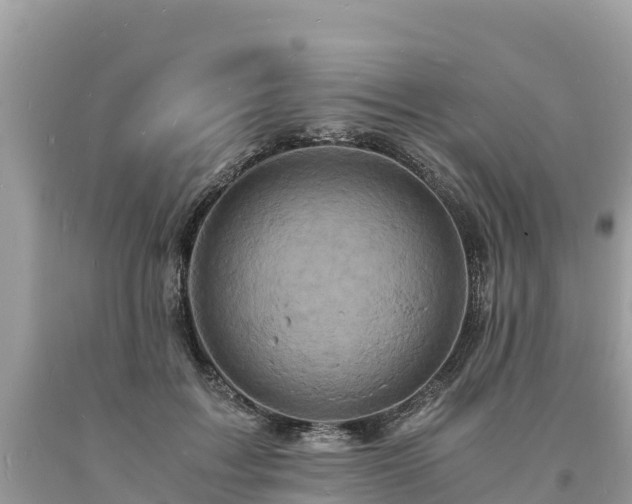 X0000093730603200710231153