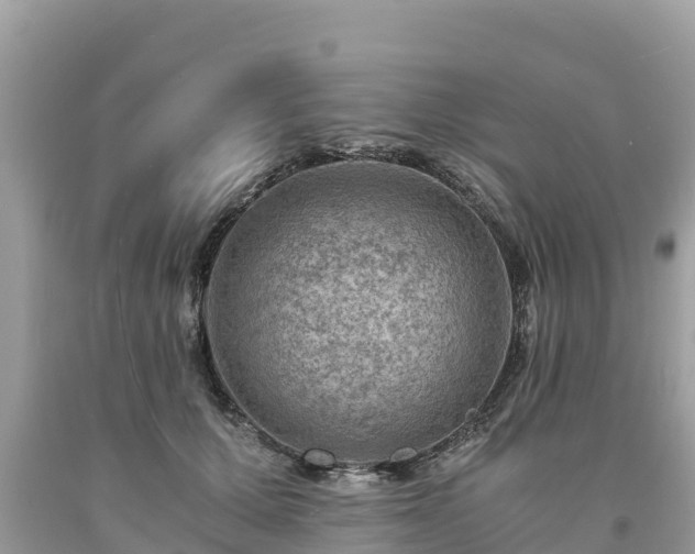 X0000093730607200710231153