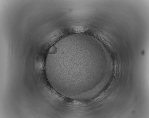 X0000093730608200710231153