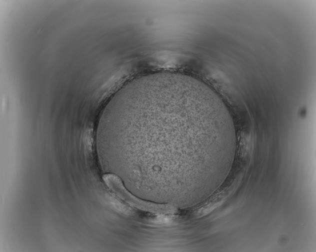 X0000093730612200710231153