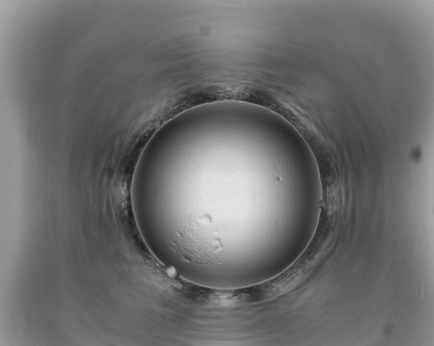 X0000093730613200710231153