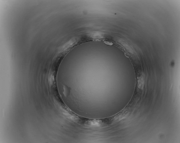 X0000093730618200710231153