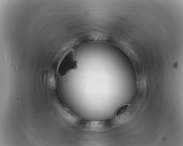 X0000093730622200710231153