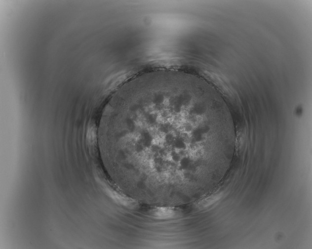 X0000093730623200710231153