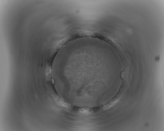 X0000093730624200710231153