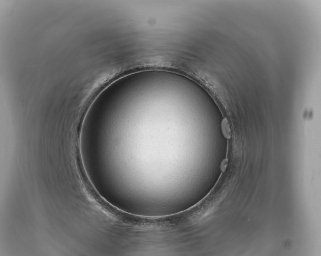 X0000093730625200710231152