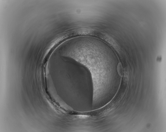 X0000093730626200710231152