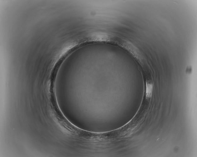 X0000093730627200710231152
