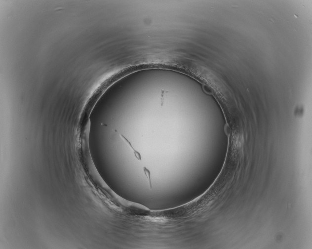 X0000093730628200710231152