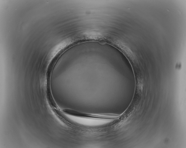 X0000093730630200710231152