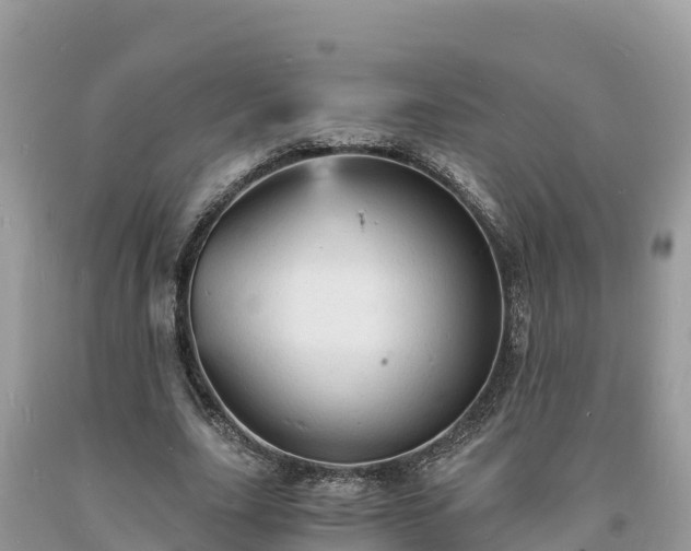 X0000093730631200710231152