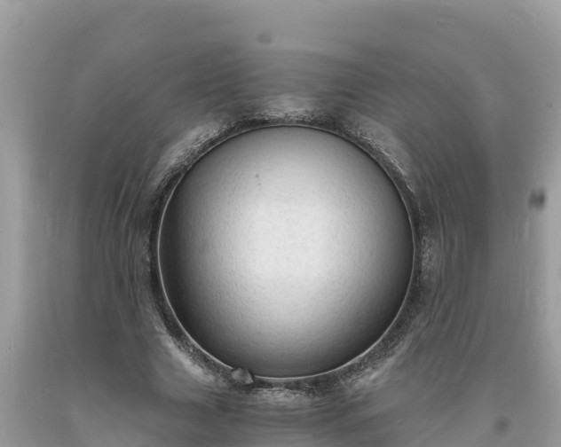 X0000093730633200710231152