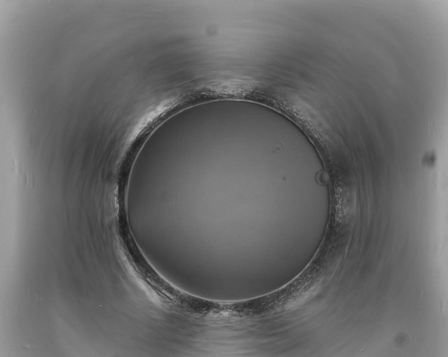 X0000093730634200710231152