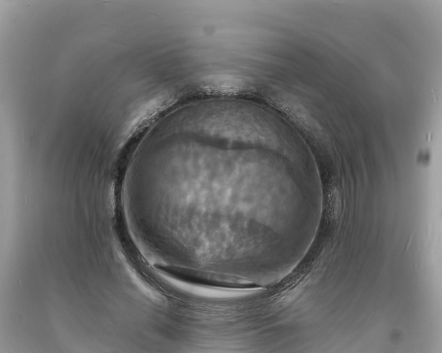 X0000093730638200710231152