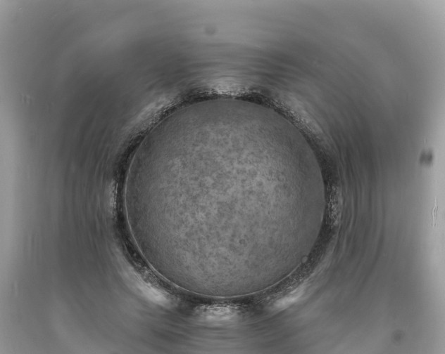 X0000093730639200710231152