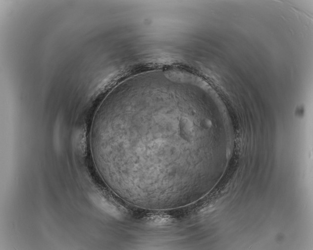 X0000093730642200710231152