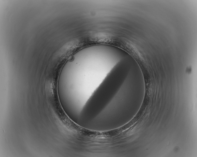 X0000093730643200710231152