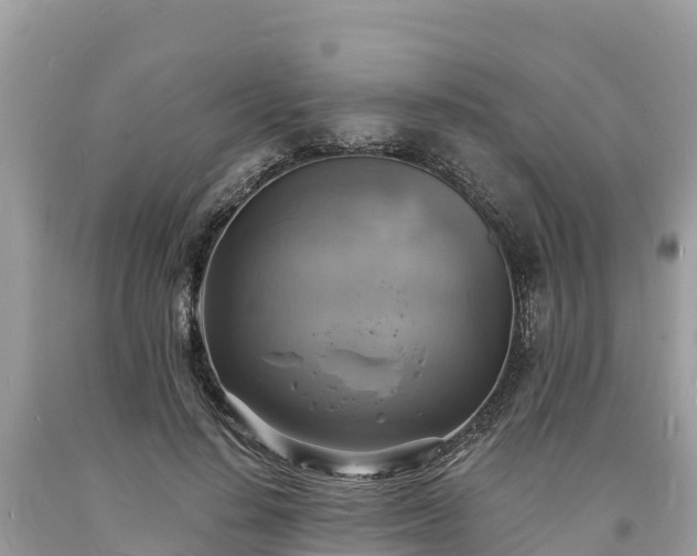X0000093730644200710231152