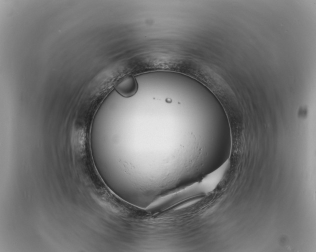 X0000093730646200710231152
