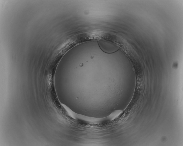 X0000093730648200710231152