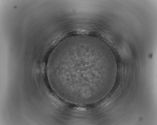 X0000093730649200710231152
