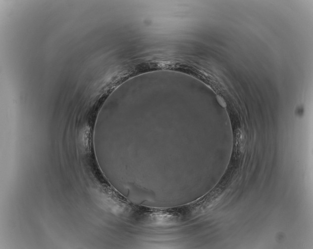 X0000093730650200710231152