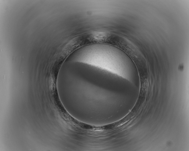 X0000093730651200710231152