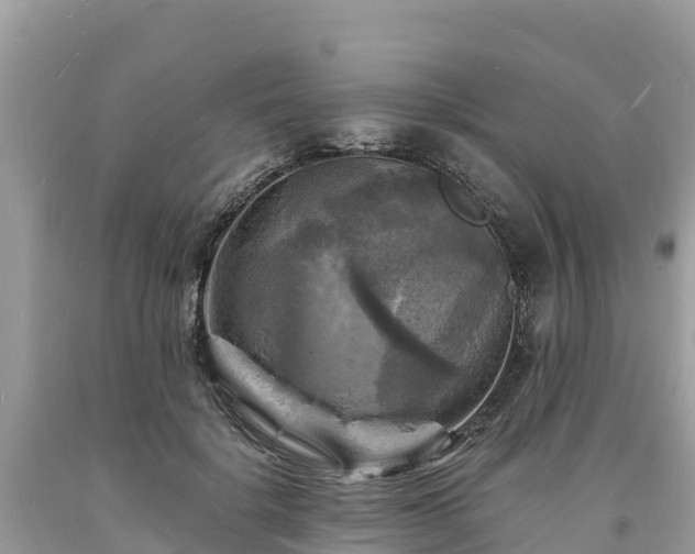 X0000093730652200710231152