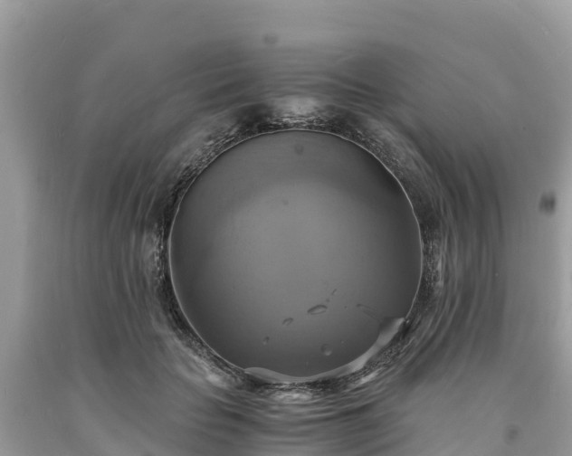 X0000093730653200710231152