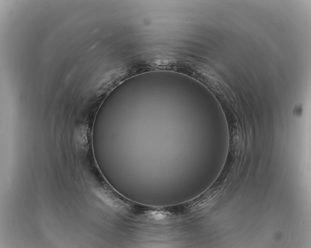 X0000093730654200710231152