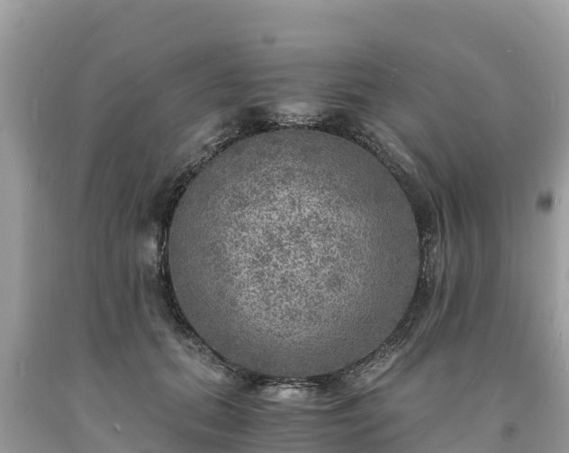 X0000093730655200710231152