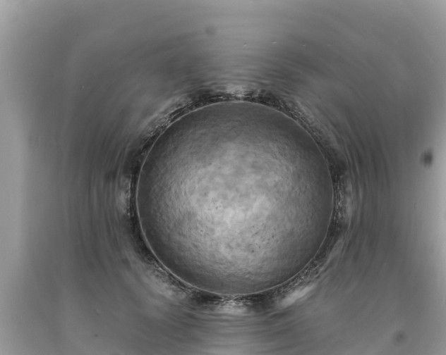 X0000093730656200710231152