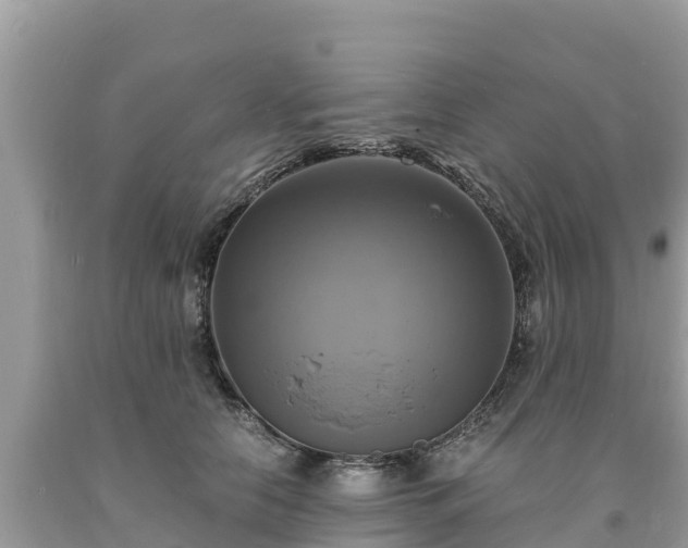 X0000093730658200710231152