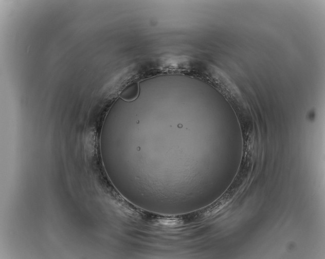 X0000093730659200710231152