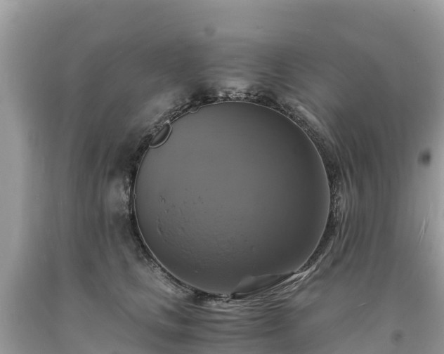 X0000093730661200710231153