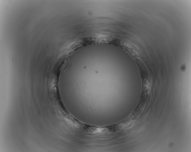 X0000093730663200710231153