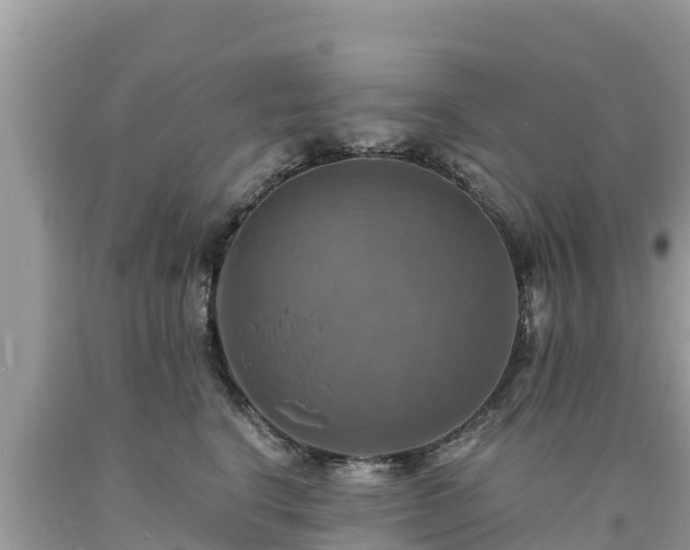 X0000093730664200710231153